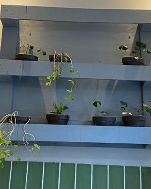 Essbare Dekoration   at Plantenköök in Bremen