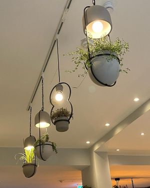 Plflanzenlampen  at Plantenköök in Bremen