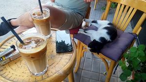 iced almond lattes at Sade Cafe in Amman