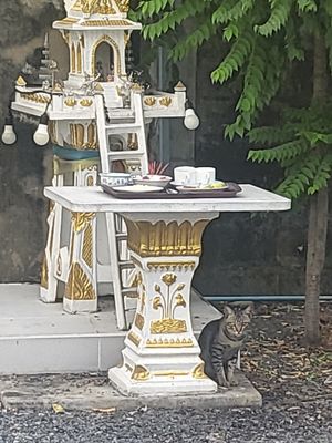  at May Veggie Home in Bangkok