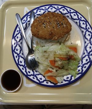 Teriyaki chicken at May Veggie Home in Bangkok