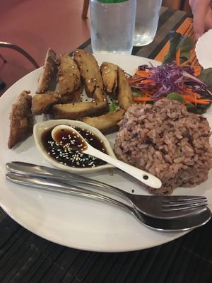 vegan duck with rice at May Veggie Home in Bangkok