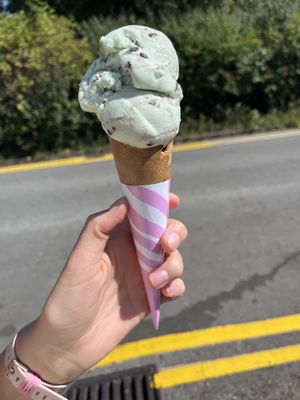 Vegan mint choc chip ice cream   at Flissys Coffee Shop in Thurstaston