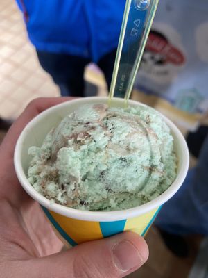 Vegan mint choc chip ice cream!   at Flissys Coffee Shop in Thurstaston
