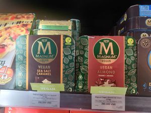 Vegan Magnums! at Annam Gourmet in Hanoi