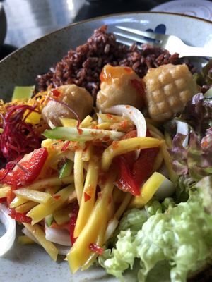 Mekong big Bowl   at To80 vegan in Cologne