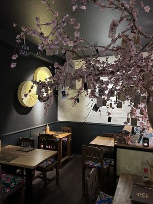   at To80 vegan in Cologne