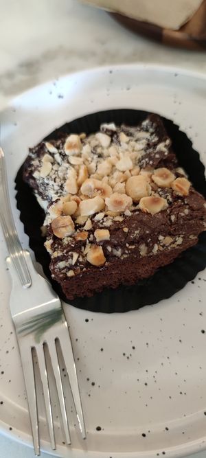  at Plant Dragon in Leuven