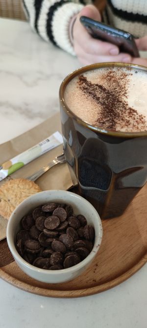  at Plant Dragon in Leuven