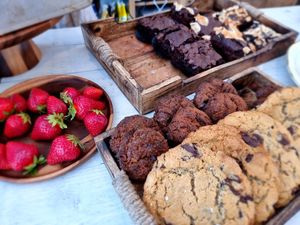 Selection of pastry on counter at Plant Dragon in Leuven
