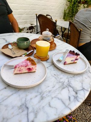  at Plant Dragon in Leuven