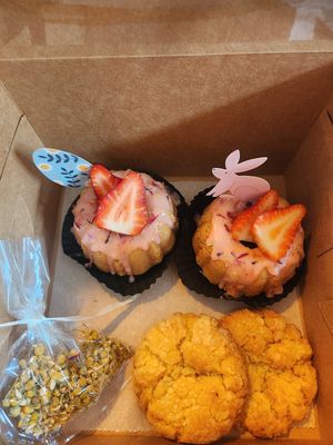  at Plant Dragon in Leuven