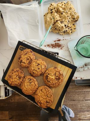  at Plant Dragon in Leuven