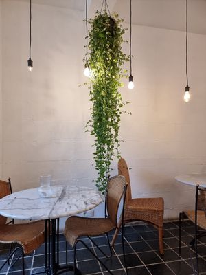 Interior at Plant Dragon in Leuven