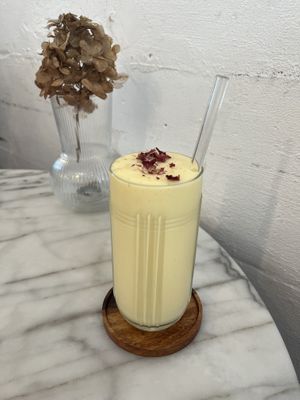   at Plant Dragon in Leuven