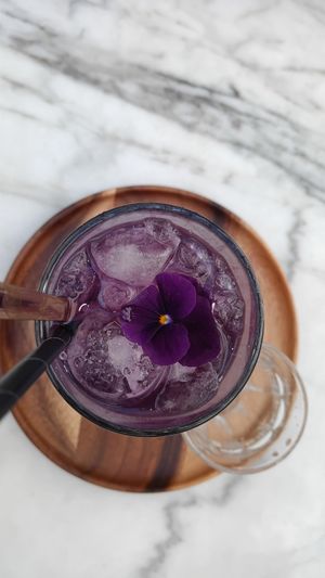  at Plant Dragon in Leuven