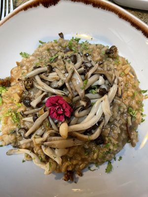   at Jardineiro - Vegan Kitchen in Porto