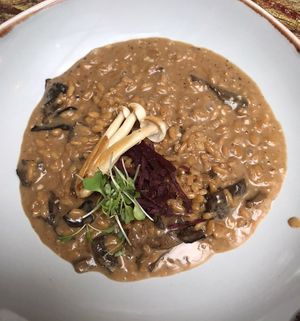   at Jardineiro - Vegan Kitchen in Porto