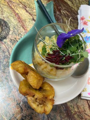 mango appetizer was the worst i ever had at Jardineiro - Vegan Kitchen in Porto