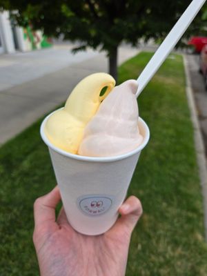 Guava and mango this month. SO creamy and delicious. at Normal Ice Cream in Salt Lake City
