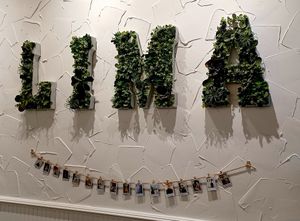 Inside decor at Lima Coffee Roasters - Old Town Coffee Shop in Fort Collins