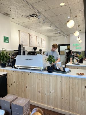 Counter   at Lima Coffee Roasters - Old Town Coffee Shop in Fort Collins