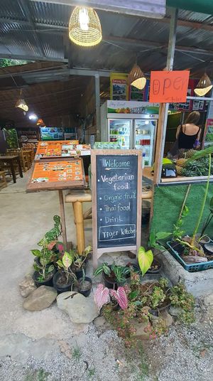  at Tiger Kitchen in Khao Sok