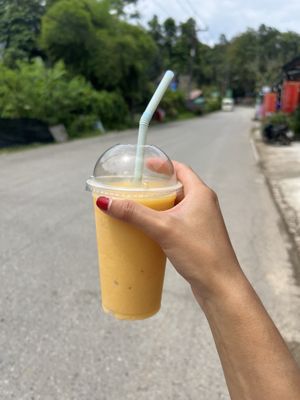mango banana smoothie  at Metang Restaurant in Khao Sok
