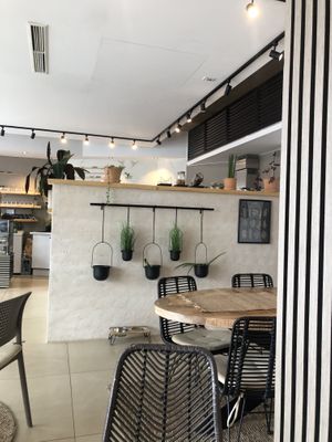 Inside   at Alua Catering Cafe in Dresden