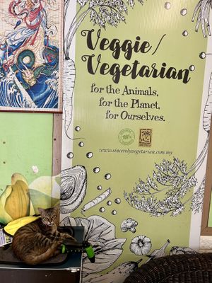   at Suzimi Vegetarian Food 素滋味 in Jerantut