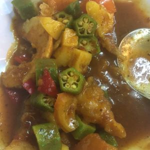 Assam Butterfly 'Prawn' at Yap Lim in Kuantan