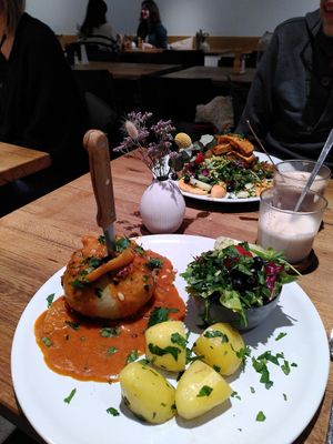 Vegan filled kohl rabí and salad with delicious tofu at IVY Bistro & Café in Hamburg