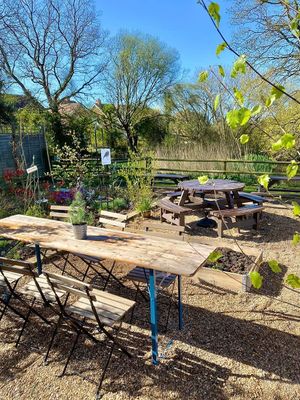 Outdoor seating and dog friendly at Blooms Cafe in Emsworth