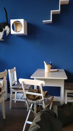  at Katers Köök in Hamburg