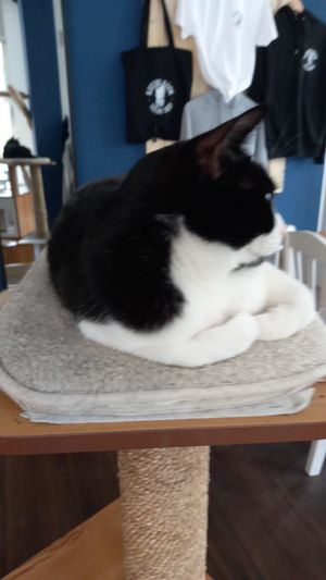  at Katers Köök in Hamburg