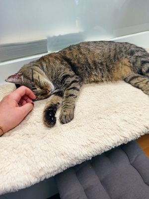  at Katers Köök in Hamburg