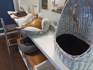  at Katers Köök in Hamburg