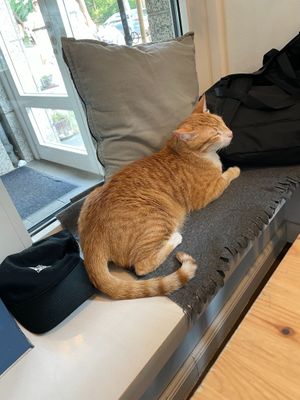  at Katers Köök in Hamburg