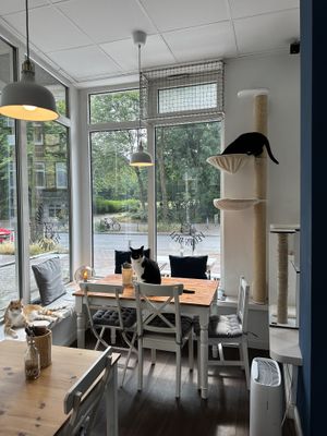   at Katers Köök in Hamburg