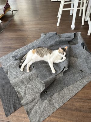   at Katers Köök in Hamburg