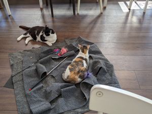  at Katers Köök in Hamburg