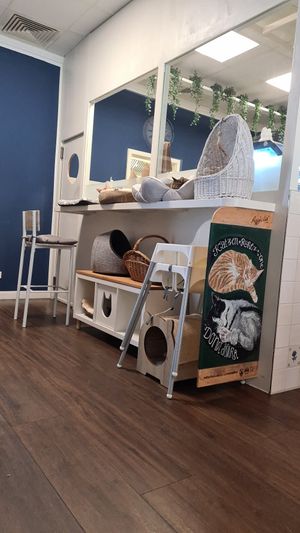  at Katers Köök in Hamburg