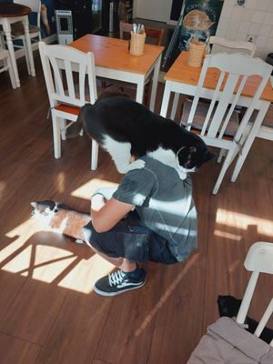 ❤️ at Katers Köök in Hamburg