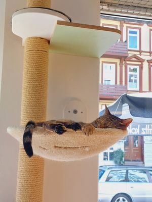 ❤️ at Katers Köök in Hamburg