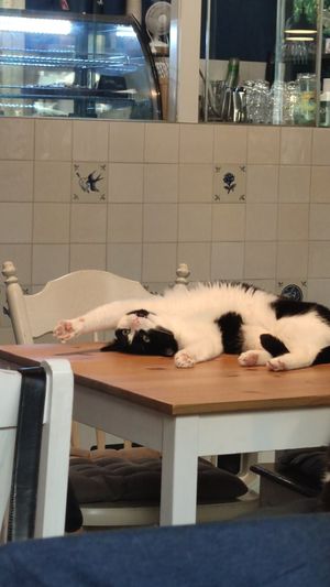  at Katers Köök in Hamburg