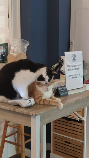  at Katers Köök in Hamburg