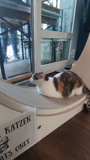  at Katers Köök in Hamburg