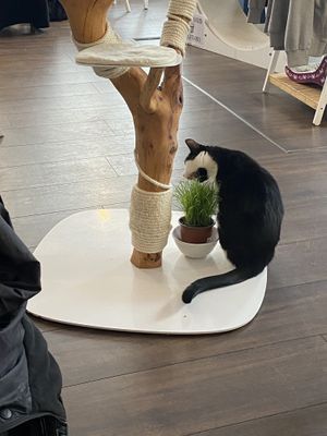   at Katers Köök in Hamburg