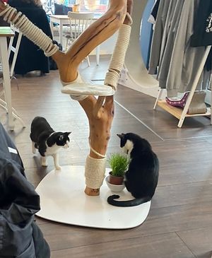   at Katers Köök in Hamburg