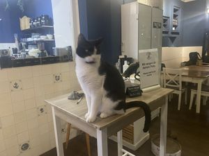 Sehr freundliches Personal 😉😹  at Katers Köök in Hamburg